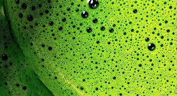 Food & Beverage image