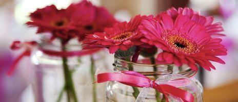 Glass Vases for Springtime Bouquets