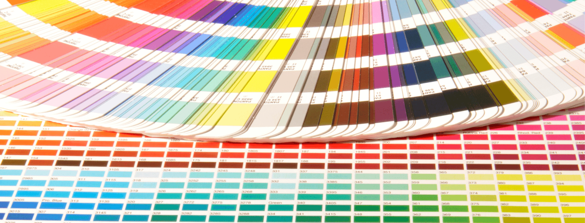 What is a Pantone® Book and Why Should I Care?